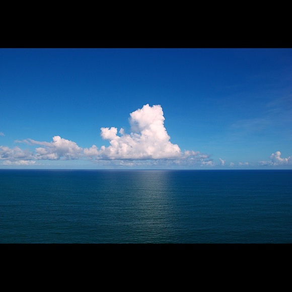 Meet your Posher, Cassie - Picture 1 of 1